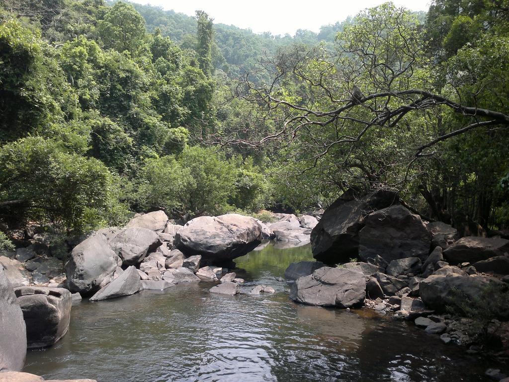 Вілла Dudhsagar Plantation Cormonem Екстер'єр фото