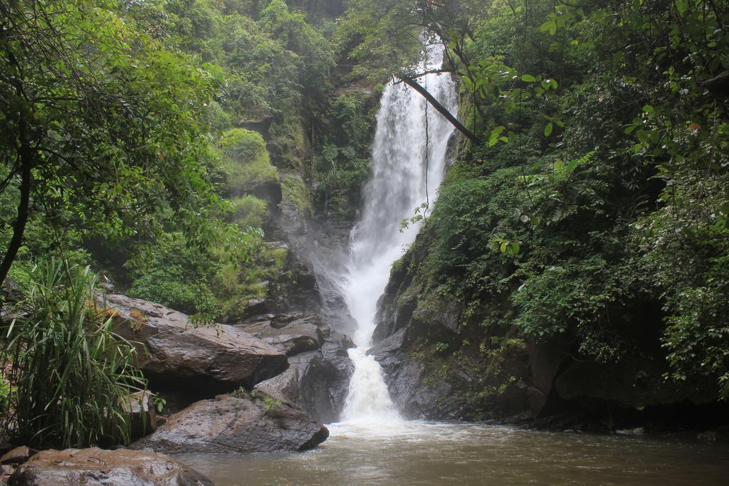 Вілла Dudhsagar Plantation Cormonem Екстер'єр фото