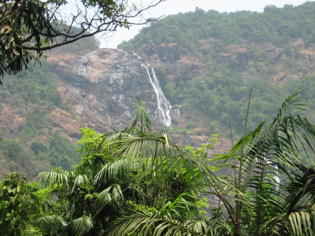 Вілла Dudhsagar Plantation Cormonem Екстер'єр фото