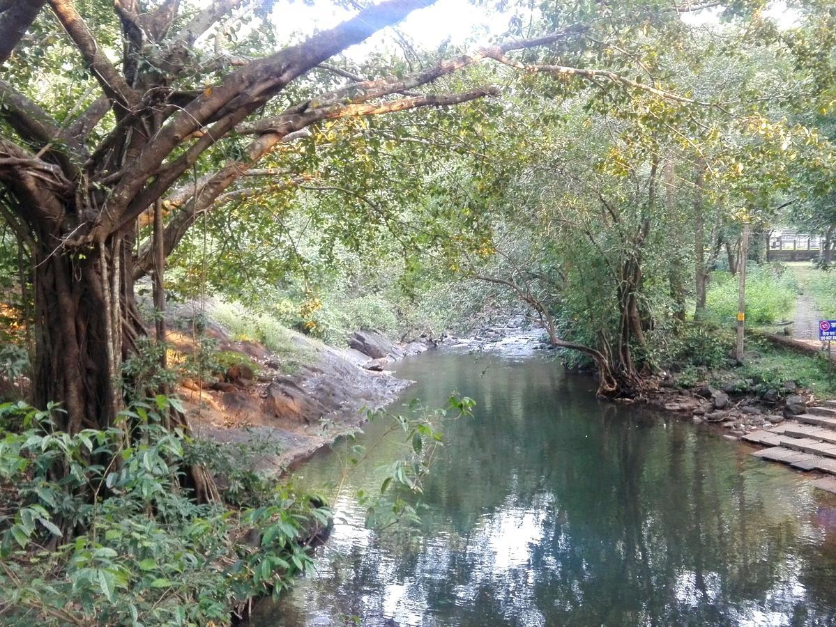 Вілла Dudhsagar Plantation Cormonem Екстер'єр фото